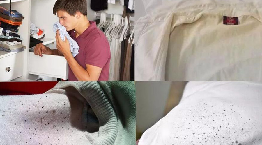 衣服護(hù)理小常識：潮濕天衣物有霉味不宜穿  該怎么辦？