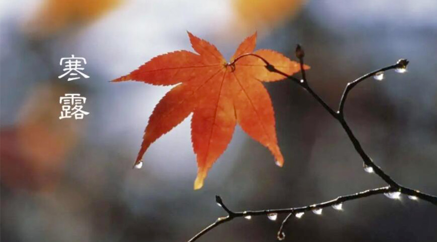 寒露時(shí)節(jié)！金環(huán)電器提醒大家要注意的事項(xiàng)