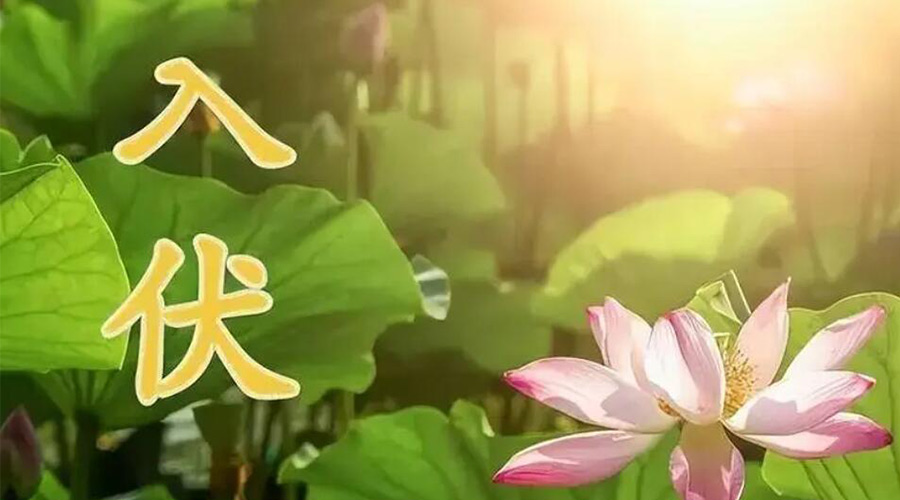 入伏天來襲！金環(huán)電器提醒大家要注意的事項