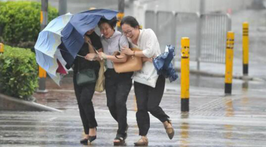 家有衣物烘干機(jī)，無懼臺(tái)風(fēng)天吹走和淋濕衣物！