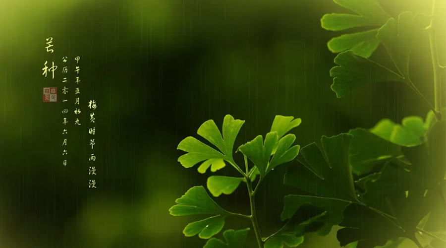 芒種時(shí)節(jié)！金環(huán)電器提醒大家的注意事項(xiàng)