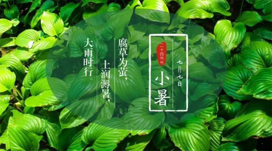 小暑時(shí)節(jié)來到！金環(huán)電器提醒大家要注意的事項(xiàng)
