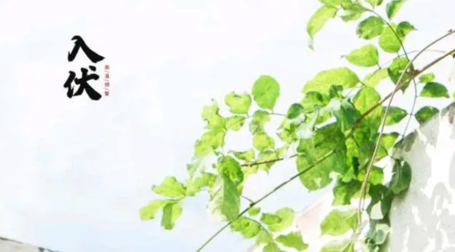 初伏時節(jié)！金環(huán)電器提醒大家要注意的事項(xiàng)