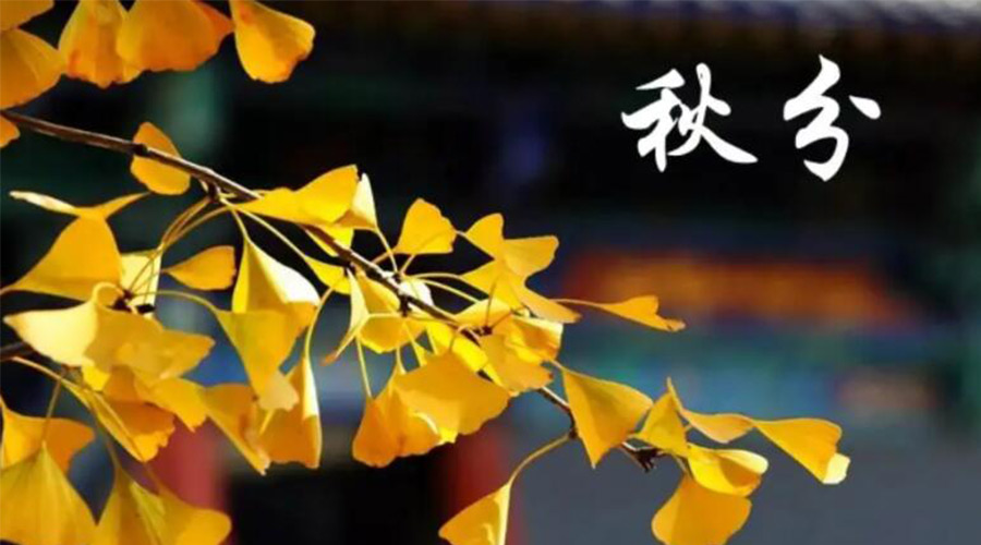 秋分時(shí)節(jié)！金環(huán)電器提醒大家要注意的事項(xiàng)