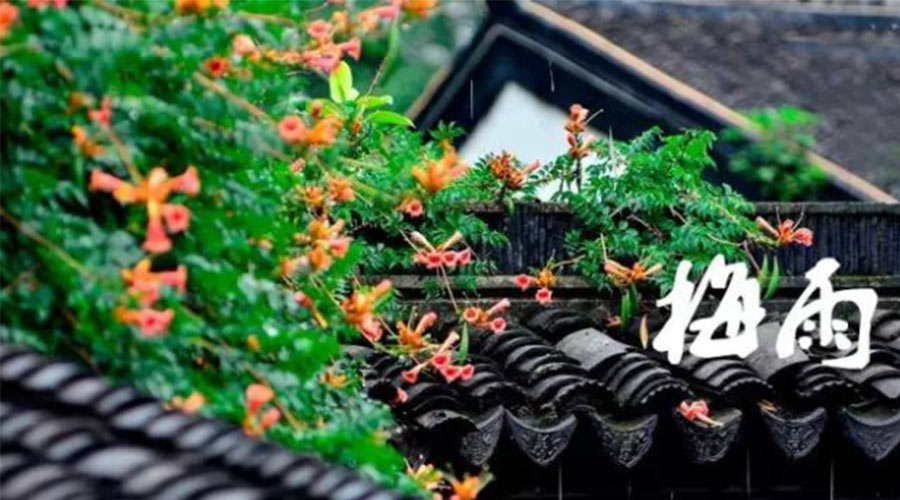 什么是梅雨？梅雨如何形成？  金環(huán)電器告訴你答案